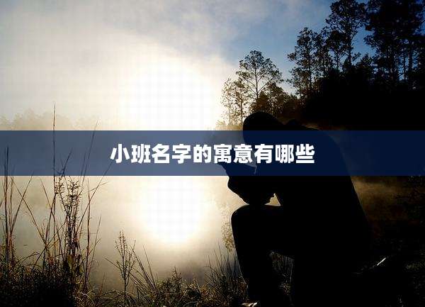 小班名字的寓意有哪些