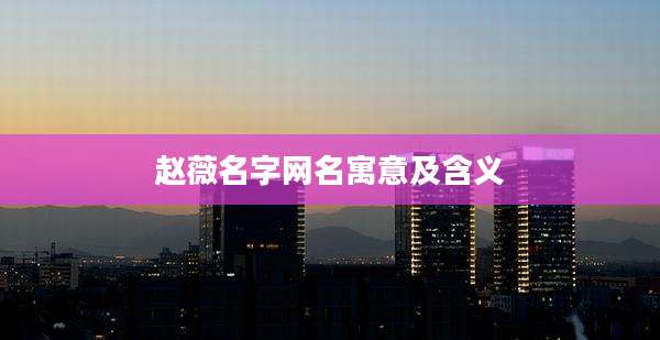 赵薇名字网名寓意及含义