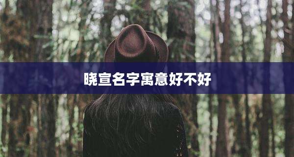 晓宣名字寓意好不好