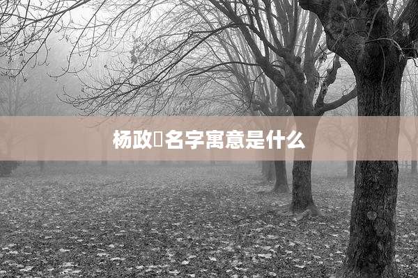 杨政燊名字寓意是什么