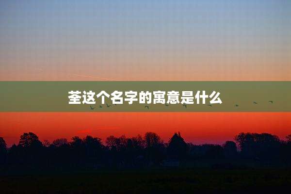 荃这个名字的寓意是什么