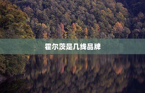 霍尔茨是几线品牌