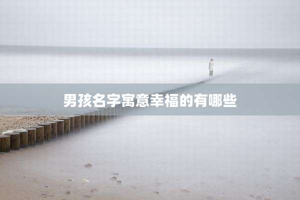 男孩名字寓意幸福的有哪些