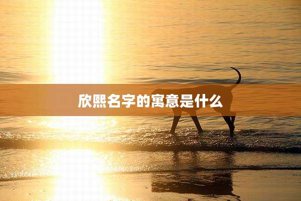 欣熙名字的寓意是什么