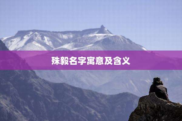 殊毅名字寓意及含义