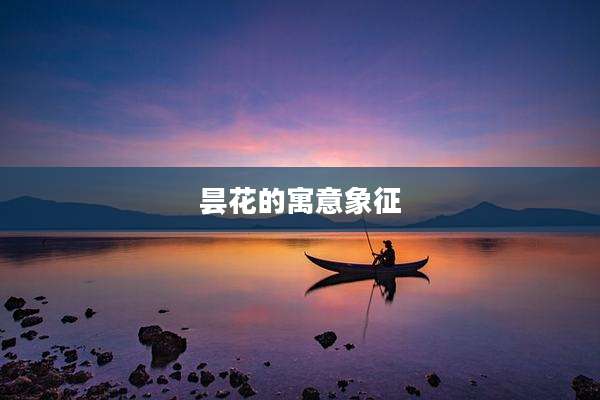 昙花的寓意象征