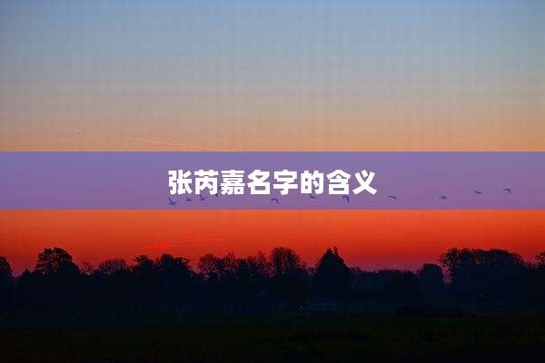张芮嘉名字的含义