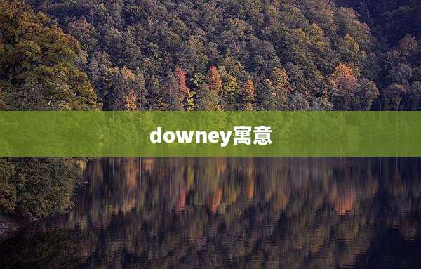 downey寓意