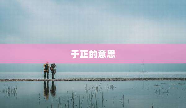 于正的意思
