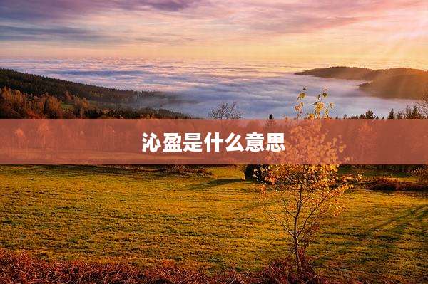 沁盈是什么意思