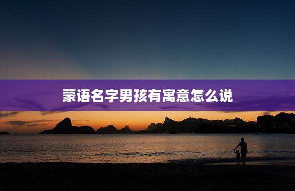 蒙语名字男孩有寓意怎么说