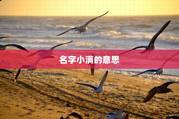 名字小满的意思