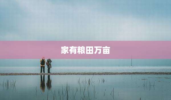 家有粮田万亩