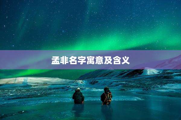 孟非名字寓意及含义