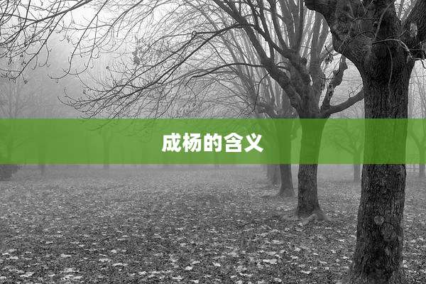 成杨的含义