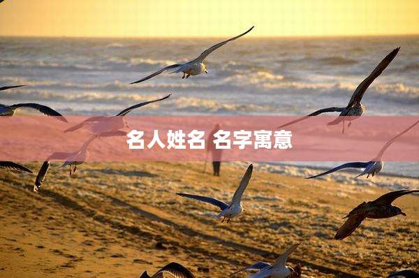 名人姓名 名字寓意