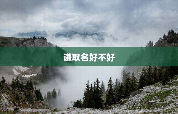 谦取名好不好
