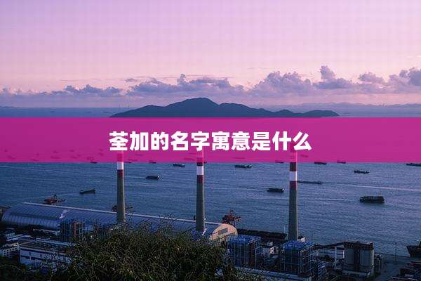 荃加的名字寓意是什么