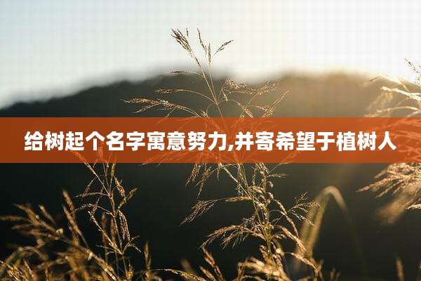 给树起个名字寓意努力,并寄希望于植树人