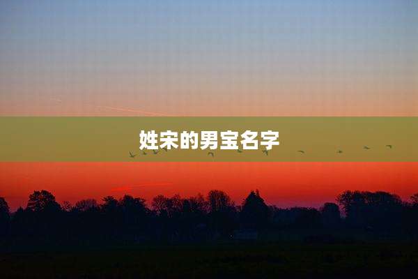 姓宋的男宝名字