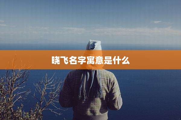 晓飞名字寓意是什么