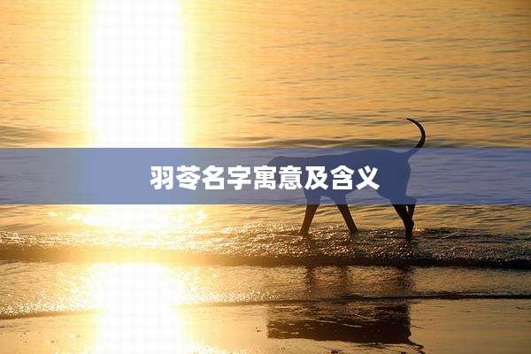 羽苓名字寓意及含义