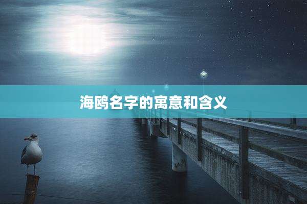 海鸥名字的寓意和含义