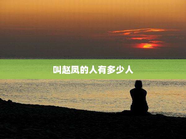 叫赵凤的人有多少人