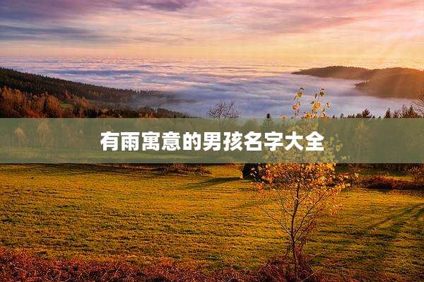 有雨寓意的男孩名字大全