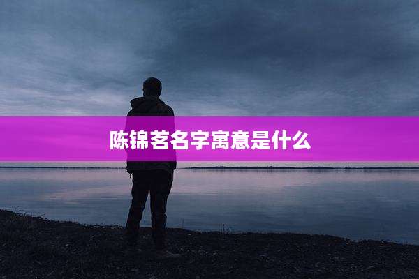 陈锦茗名字寓意是什么