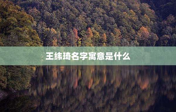 王纬琦名字寓意是什么