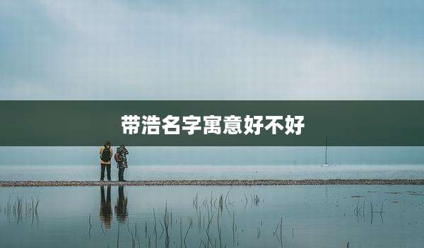 带浩名字寓意好不好