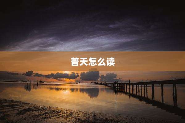 普天怎么读