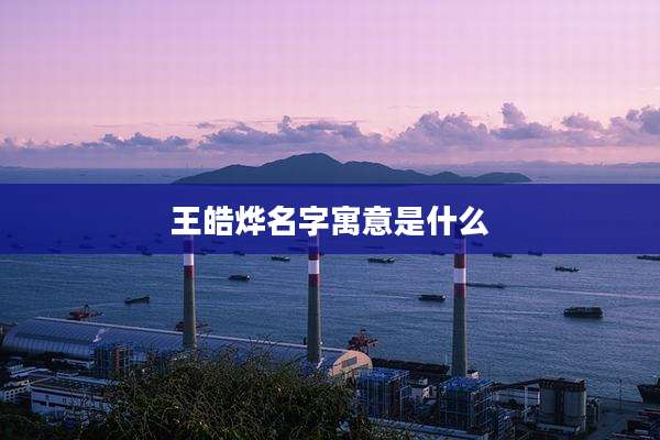 王皓烨名字寓意是什么
