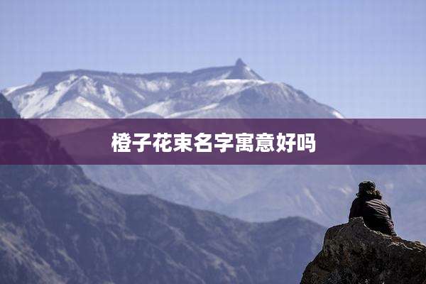 橙子花束名字寓意好吗