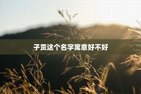 子贡这个名字寓意好不好