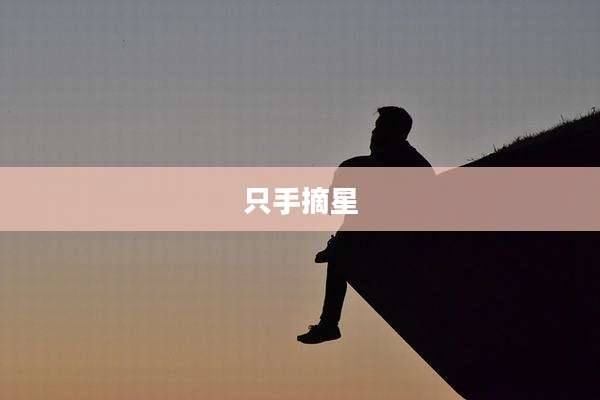 只手摘星