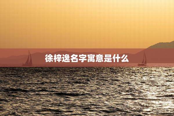 徐梓逸名字寓意是什么