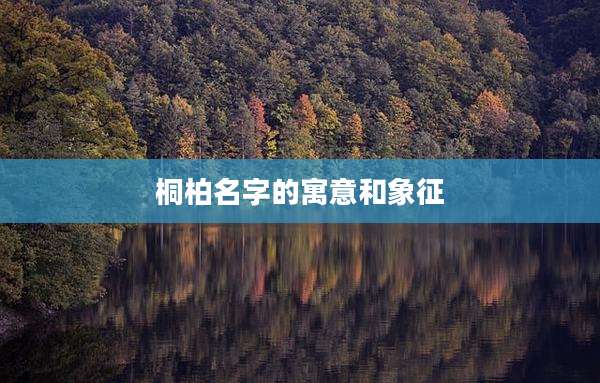 桐柏名字的寓意和象征