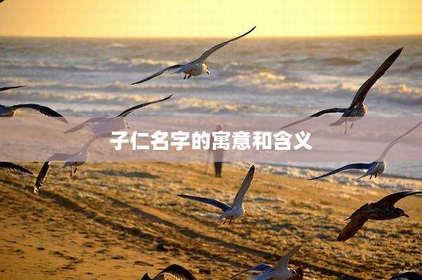 子仁名字的寓意和含义