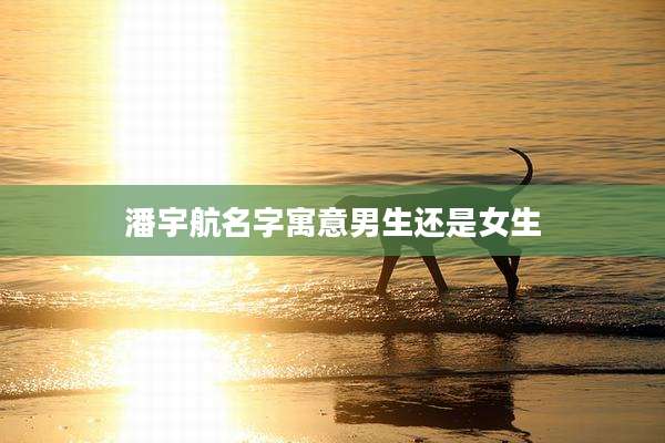 潘宇航名字寓意男生还是女生