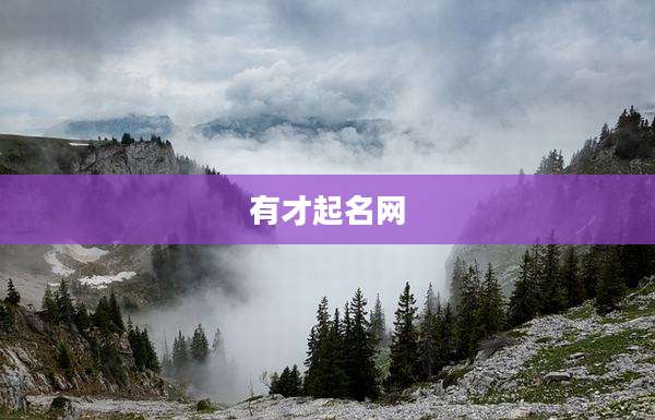 有才起名网
