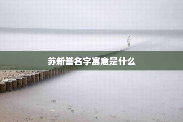 苏新誉名字寓意是什么