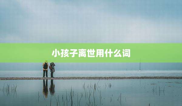 小孩子离世用什么词