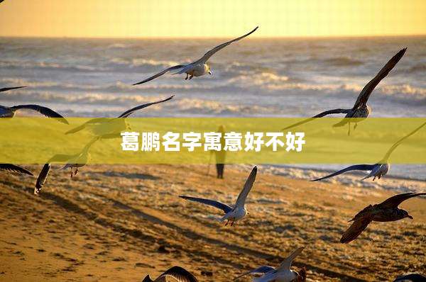 葛鹏名字寓意好不好