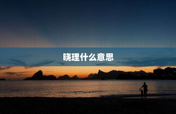 晓理什么意思