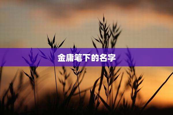 金庸笔下的名字