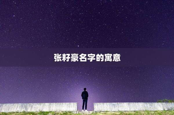 张籽豪名字的寓意