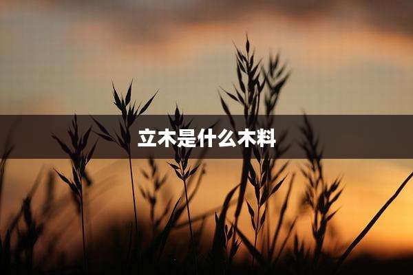 立木是什么木料