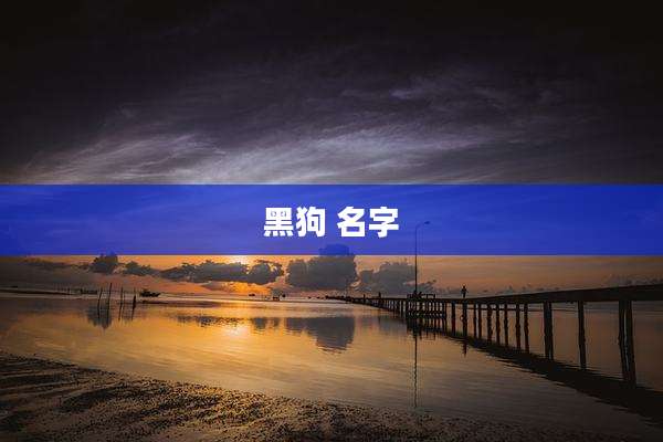 黑狗 名字